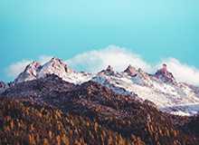 有损礼节,法国男篮后卫最后时刻与东契奇握手致意后上空篮险酿冲突